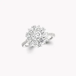 Graff Round Diamond Cluster Ring^ White Diamond|Classic Graff