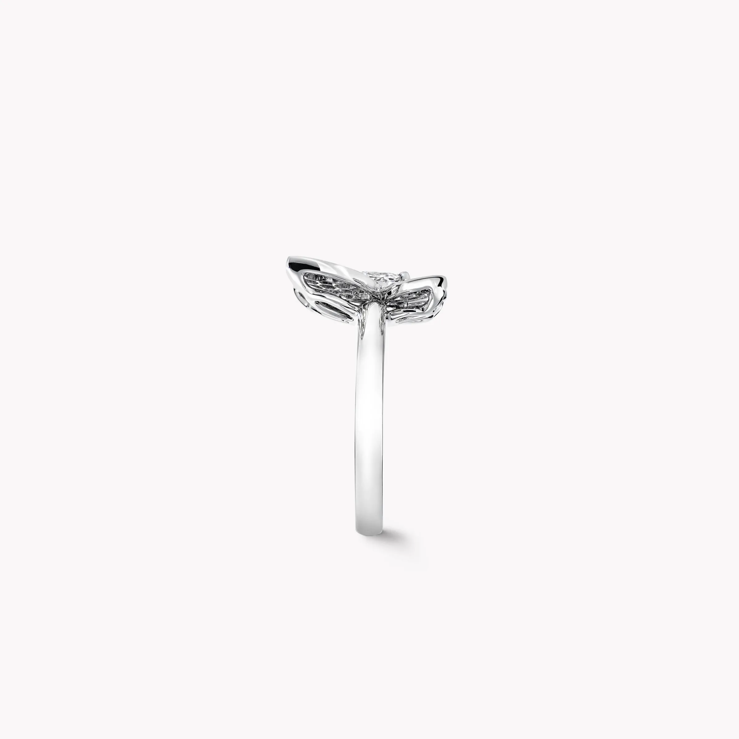 Graff Pavé Butterfly Diamond Ring^ White Gold|White Diamond