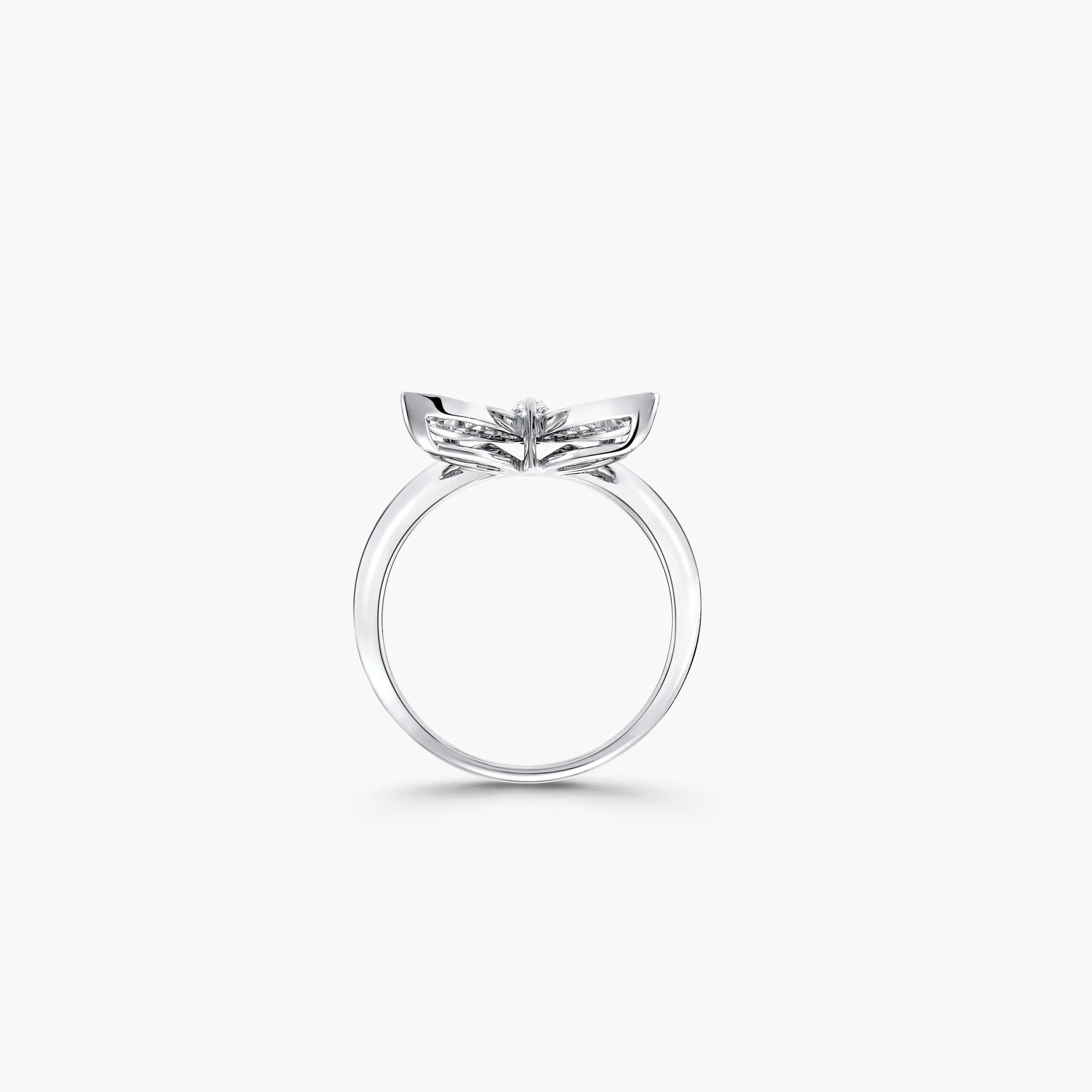 Graff Pavé Butterfly Diamond Small Ring^ White Gold|Butterfly